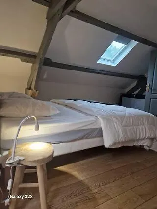 Vaste Maison Familiale En Bordure De Foret Villa Dommiers